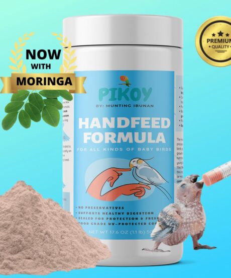 Premium Quality Handfeed Formula